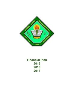 Financial_Plan_2019-2017