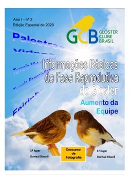 GCB em revista - edição especial