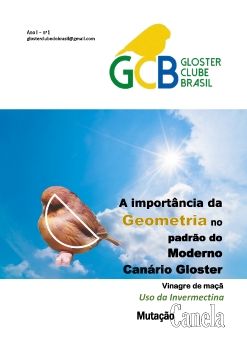 Revista GCB nº1