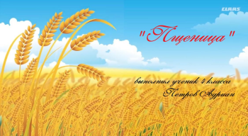 проект 