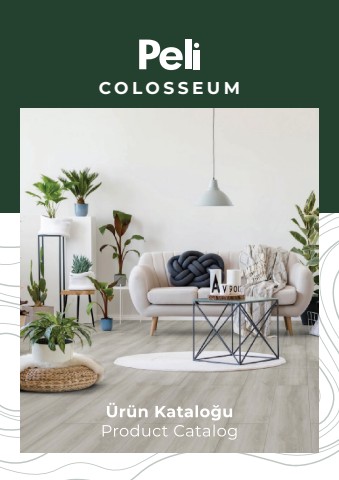 colesseum-flip