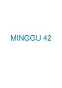 RPH minggu 42_Neat