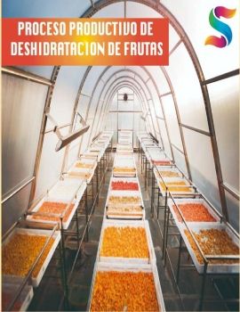 INFORMACION TECNICA productos deshidratados