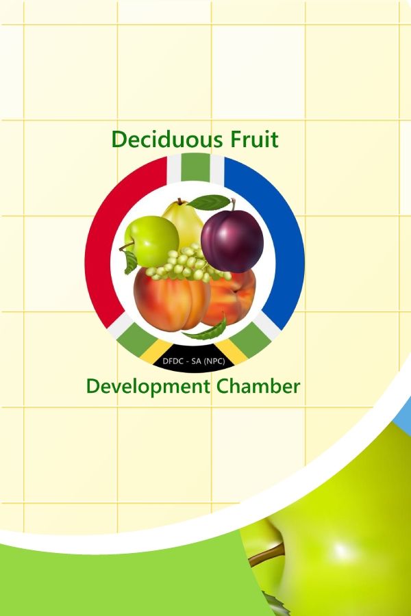 DFDC - SA PRESENTATION