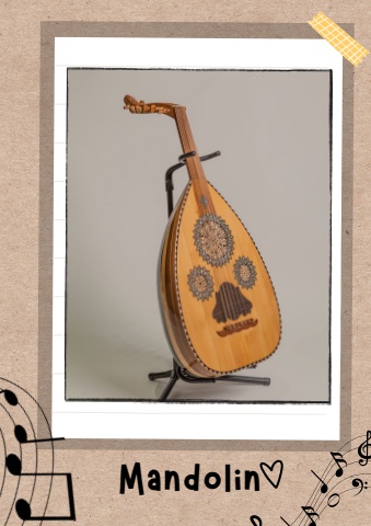 E-BOOK Mandolin
