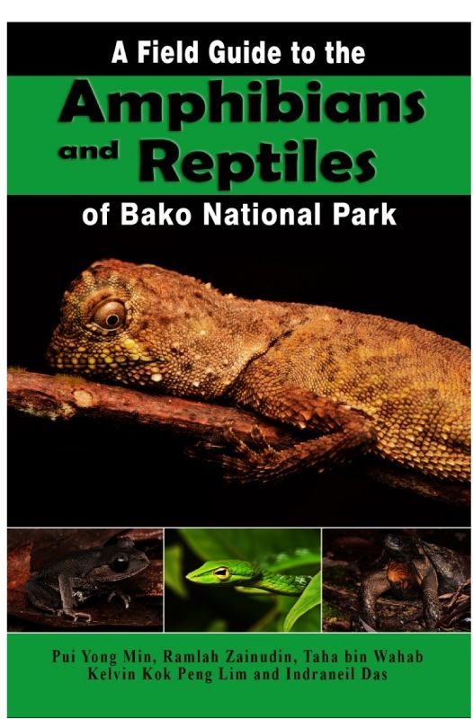 A Field Guide to the Amphibians and Reptiles of Bako National Park