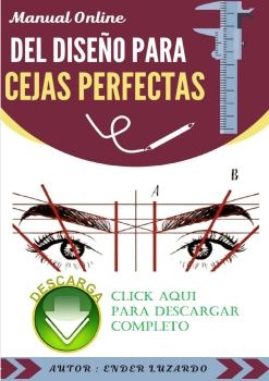 Manual Para Diseño De Cejas PDF Descargar Gratis