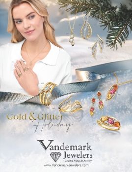 2025 GOLD & GLITTER VAN135