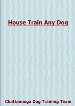 House Train Any Dog E-BOOK Chattanooga Dog Training Team PDF Download 