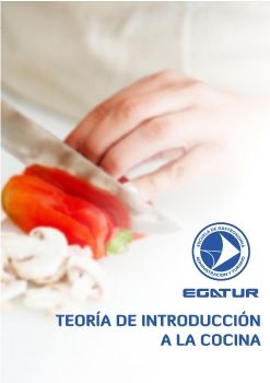 MANUAL DE INTRODUCCION A LA COCINA