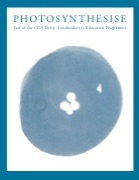 CCA_education book