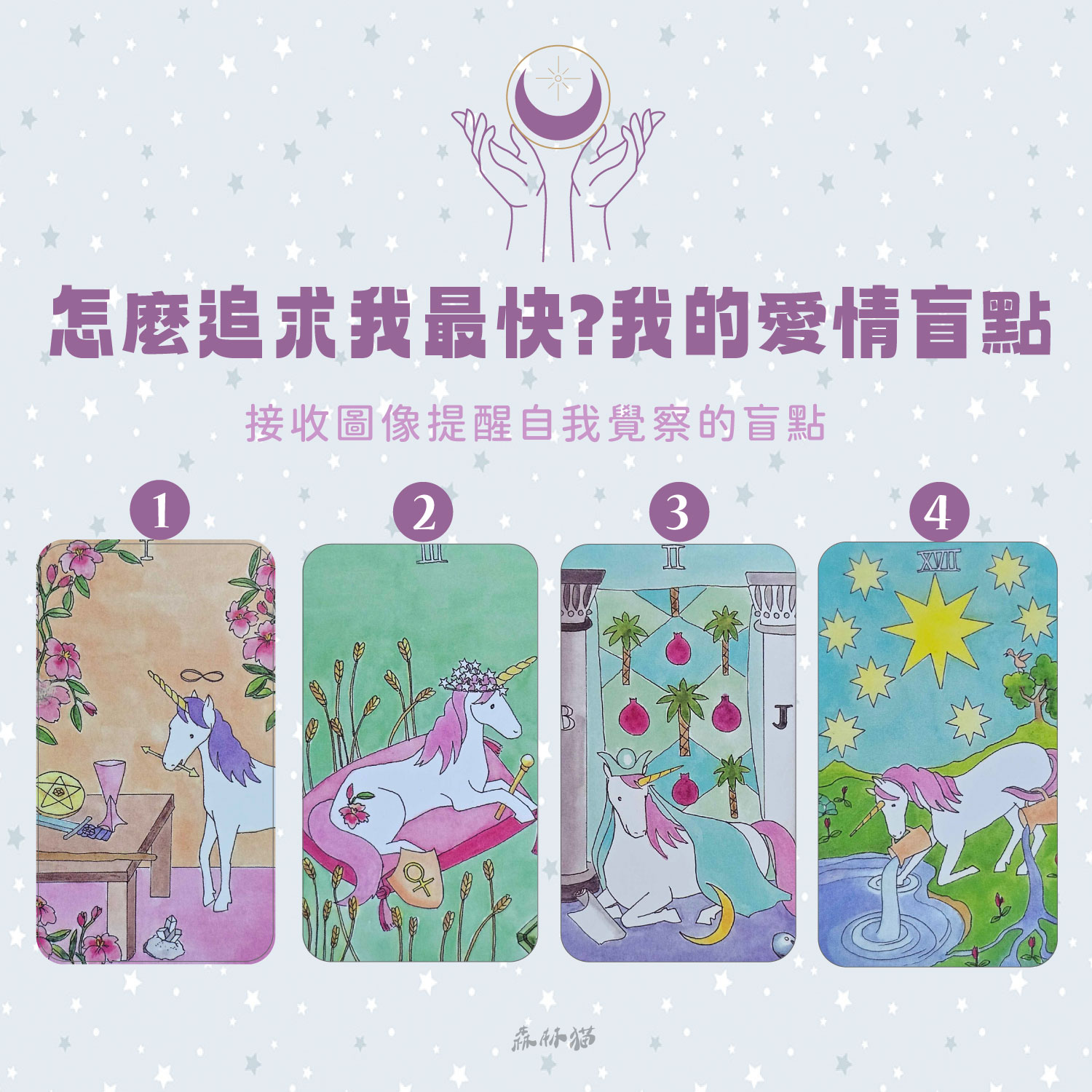 森林貓 神準占卜14