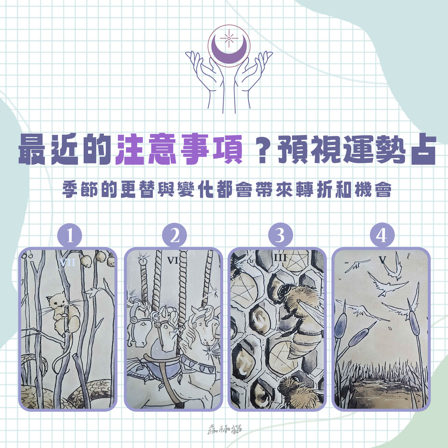 森林貓神準占卜16