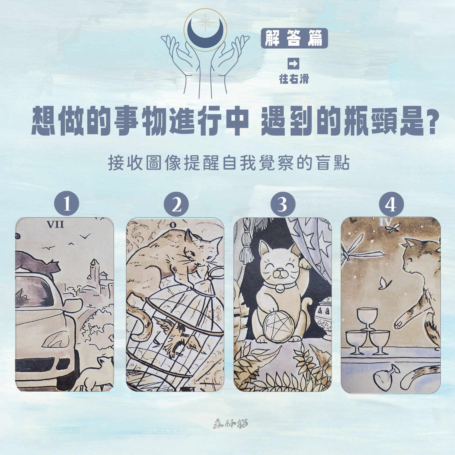 森林貓神準占卜21