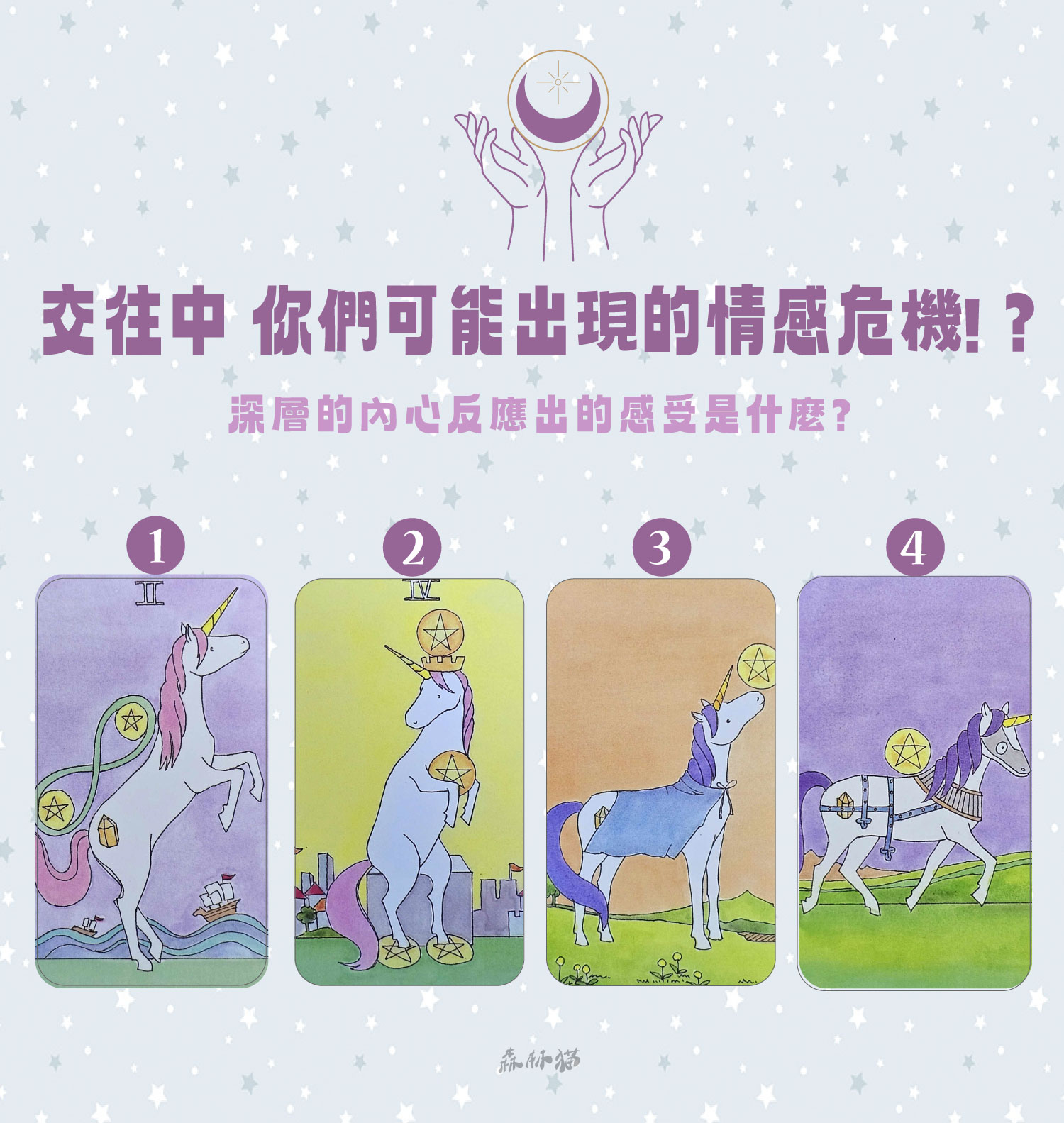 森林貓神準占卜17