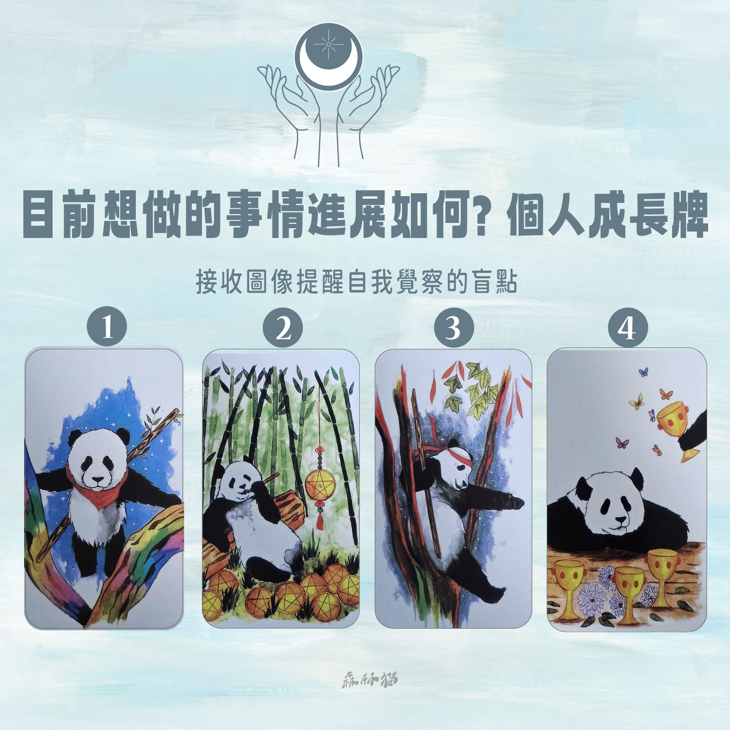 森林貓神準占卜18