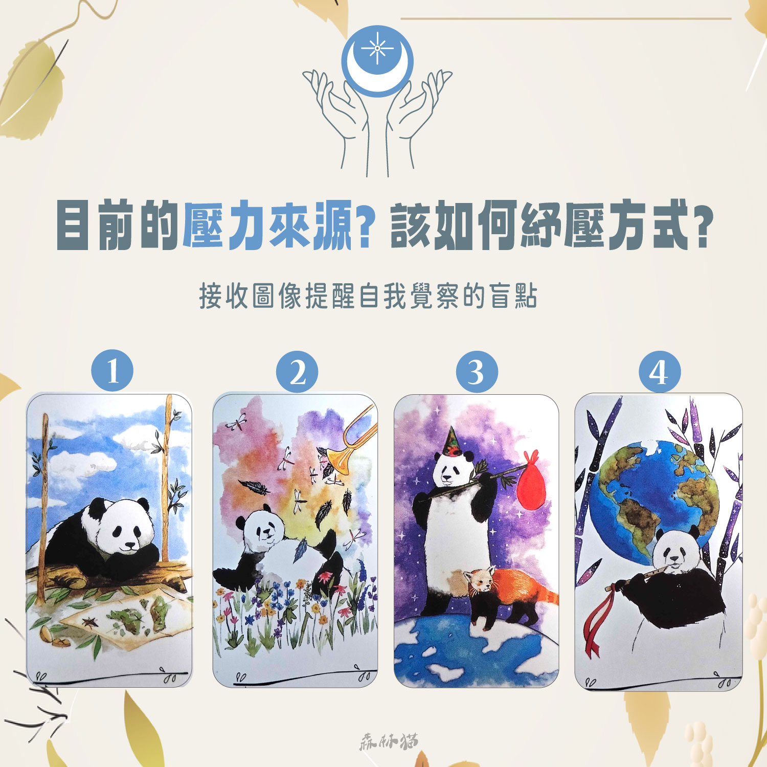 森林貓神準占卜19