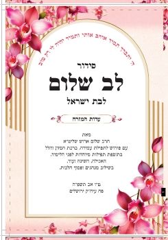 Difduf-5688_p_avny hoshen.1.1.1A.PDF