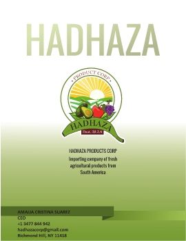 PROPUESTA BROCHURE HADHAZA.cdr