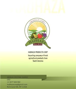 Proyecto hadhaza Brochure