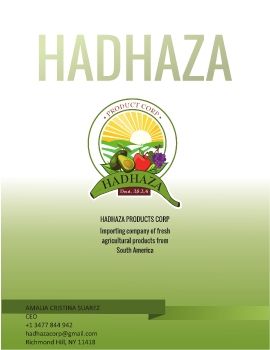 PROPUESTA HADHAZA BROCHURE