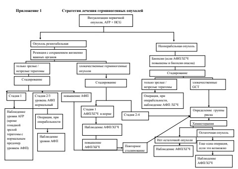 приложение 1 к герминогенным опухолям