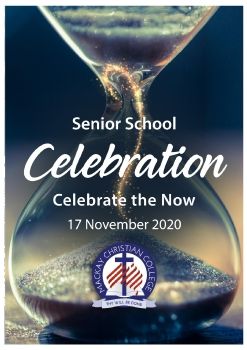 2020 Senior Program website 2