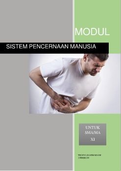 SISTEM PENCERNAAN MANUSIA