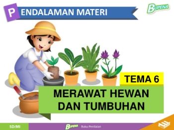 TEMA 6