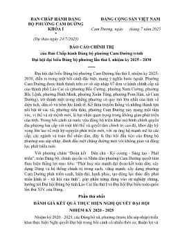 Microsoft Word - 24.7. Báo cáo chính trË phuong Cam Duong .docx
