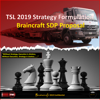 Braincraft TSL 2019 Strategy Facilitation Proposal