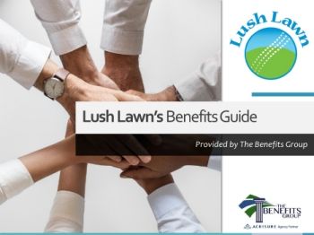 Lush Lawn Benefits Guide