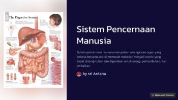 sistem pencernaan, proses dan penyakit pencernaan