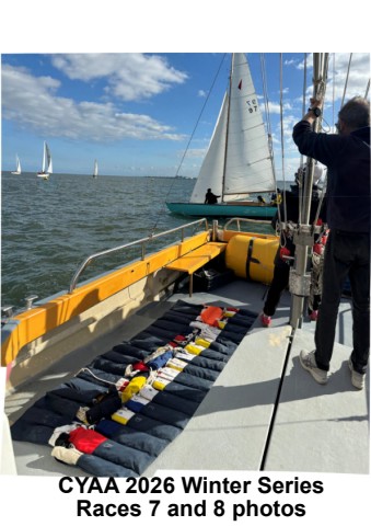 race 7 & 8 photos