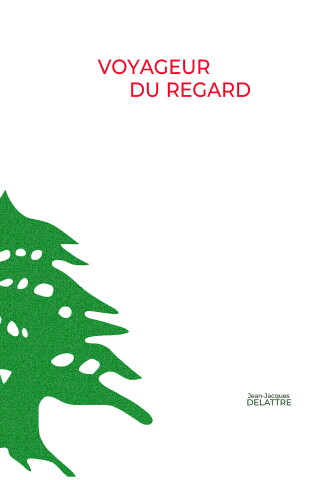 voyageur du regard 1