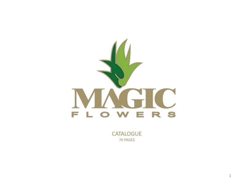 Tropical Flowers Catalogue - Magic Flowers