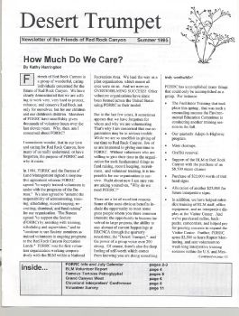 1995 DT three issues