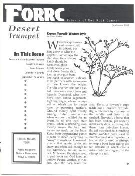 1998 dt three issues