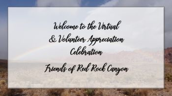 2020 Volunteer Appreciation