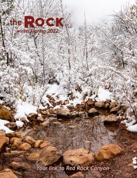 the Rock Winter Spring 2022