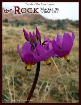 spring 2015 magazine FINAL