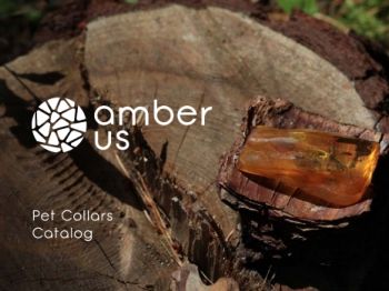 AmberCatalog