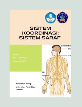 Flipbook sistem saraf (2022)