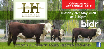 Limehills Polled Herefords 2020 online bull sale bidr