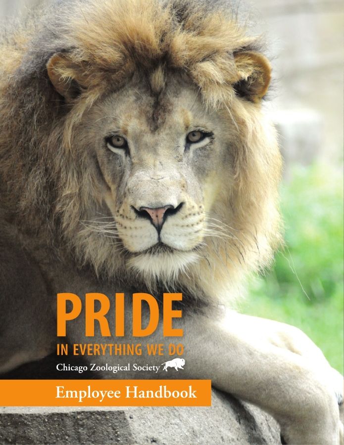 CZS Employee Handbook