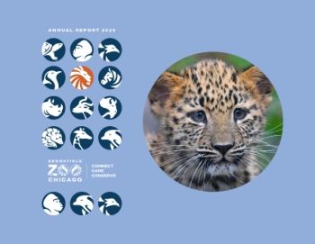 BZC Annual Report 2025