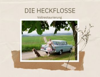 Die Heckflosse