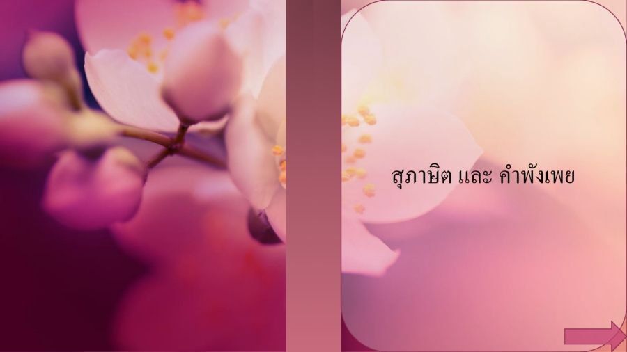 E-book สุภาษิต คำพังเพย