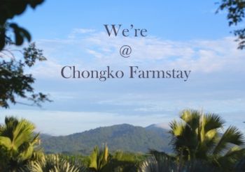 Trip - Chongko Farmstay