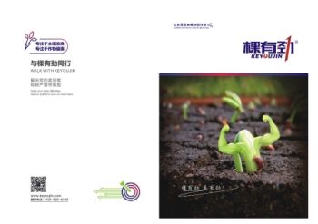 画册棵有劲